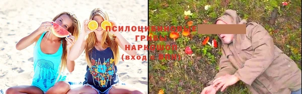 ГАЛЛЮЦИНОГЕННЫЕ ГРИБЫ Абаза
