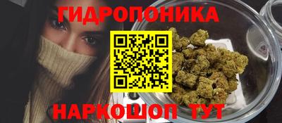 гидропоника Краснознаменск