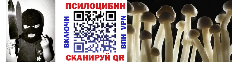 Псилоцибиновые грибы мицелий ОМГ ОМГ как зайти Касимов