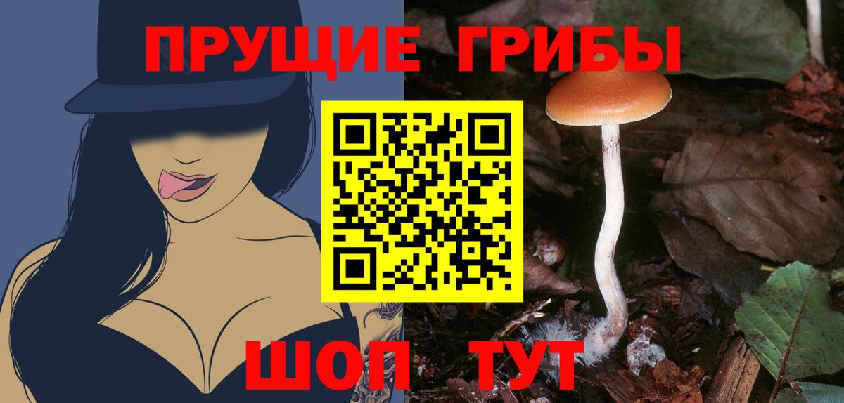 Касимов  Псилоцибиновые грибы ЛСД  как найти закладки  Галлюциногенные грибы Magic Shrooms  Вход с VPN 